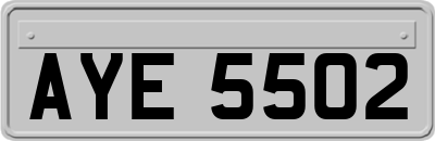AYE5502
