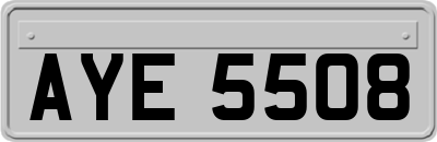 AYE5508