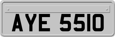 AYE5510
