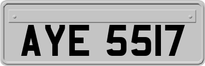 AYE5517