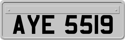 AYE5519