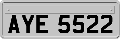 AYE5522