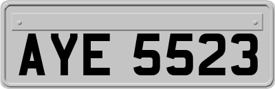 AYE5523