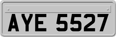 AYE5527