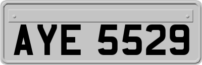 AYE5529