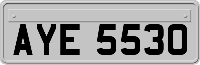 AYE5530