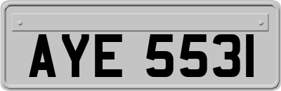 AYE5531