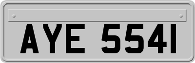 AYE5541
