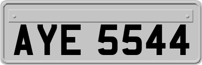 AYE5544