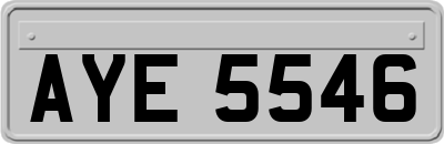 AYE5546