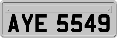 AYE5549