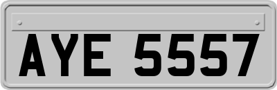 AYE5557