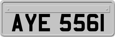 AYE5561