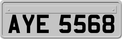 AYE5568