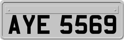 AYE5569