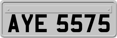 AYE5575