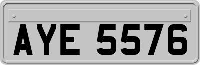 AYE5576