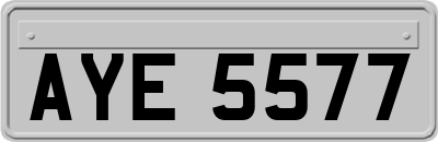 AYE5577