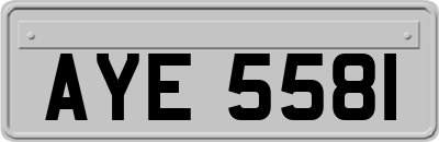 AYE5581