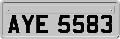 AYE5583