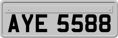 AYE5588