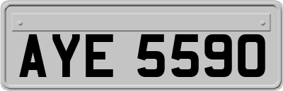 AYE5590