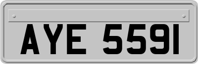AYE5591