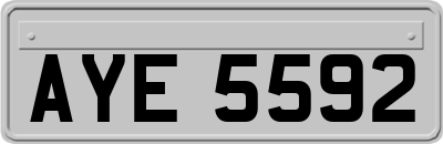 AYE5592
