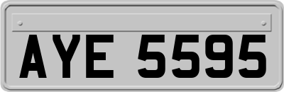 AYE5595