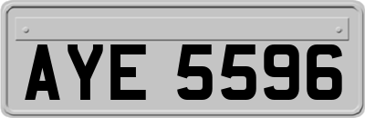 AYE5596