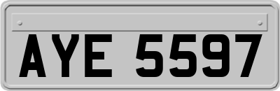 AYE5597