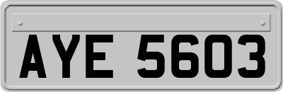 AYE5603