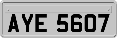 AYE5607