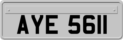 AYE5611
