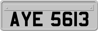 AYE5613