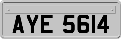 AYE5614