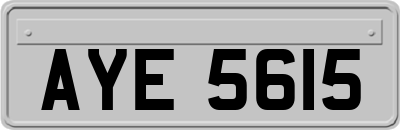 AYE5615
