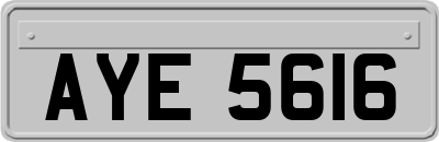 AYE5616