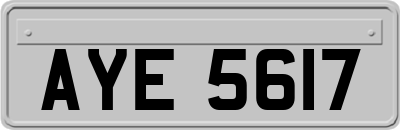 AYE5617