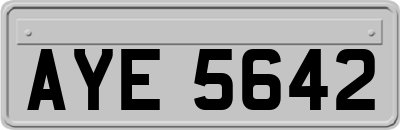 AYE5642