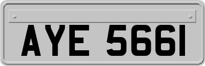 AYE5661