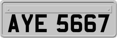 AYE5667