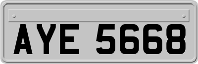 AYE5668