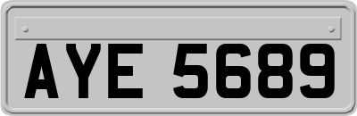 AYE5689