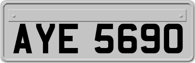 AYE5690