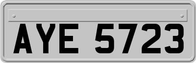 AYE5723