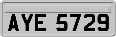 AYE5729
