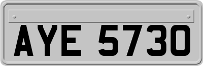 AYE5730
