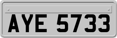 AYE5733