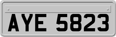 AYE5823